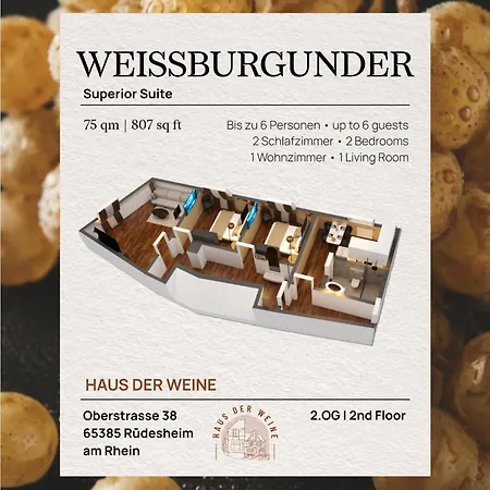 Haus Der Weine - Klima - Ac *